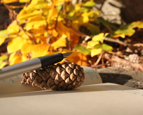 Detail: Schreibheft und Füllfeder mit einem Baumbockerl im Herbstwald.
