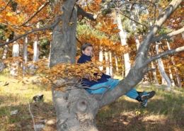 Schreibende Frau sitzt auf Astgabel im Herbstwald und lächelt in die Kamera