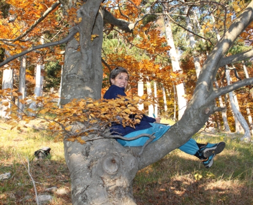 Schreibbaum Schreibende Frau sitzt auf Astgabel im Herbstwald und lächelt in die Kamera