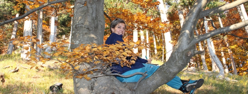 Schreibende Frau sitzt auf Astgabel im Herbstwald und lächelt in die Kamera