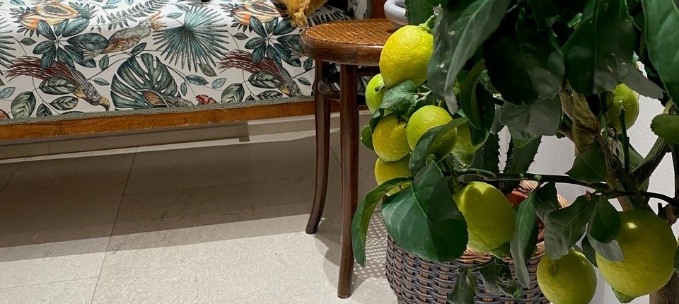 Schreibraum Küche mit Zitronen