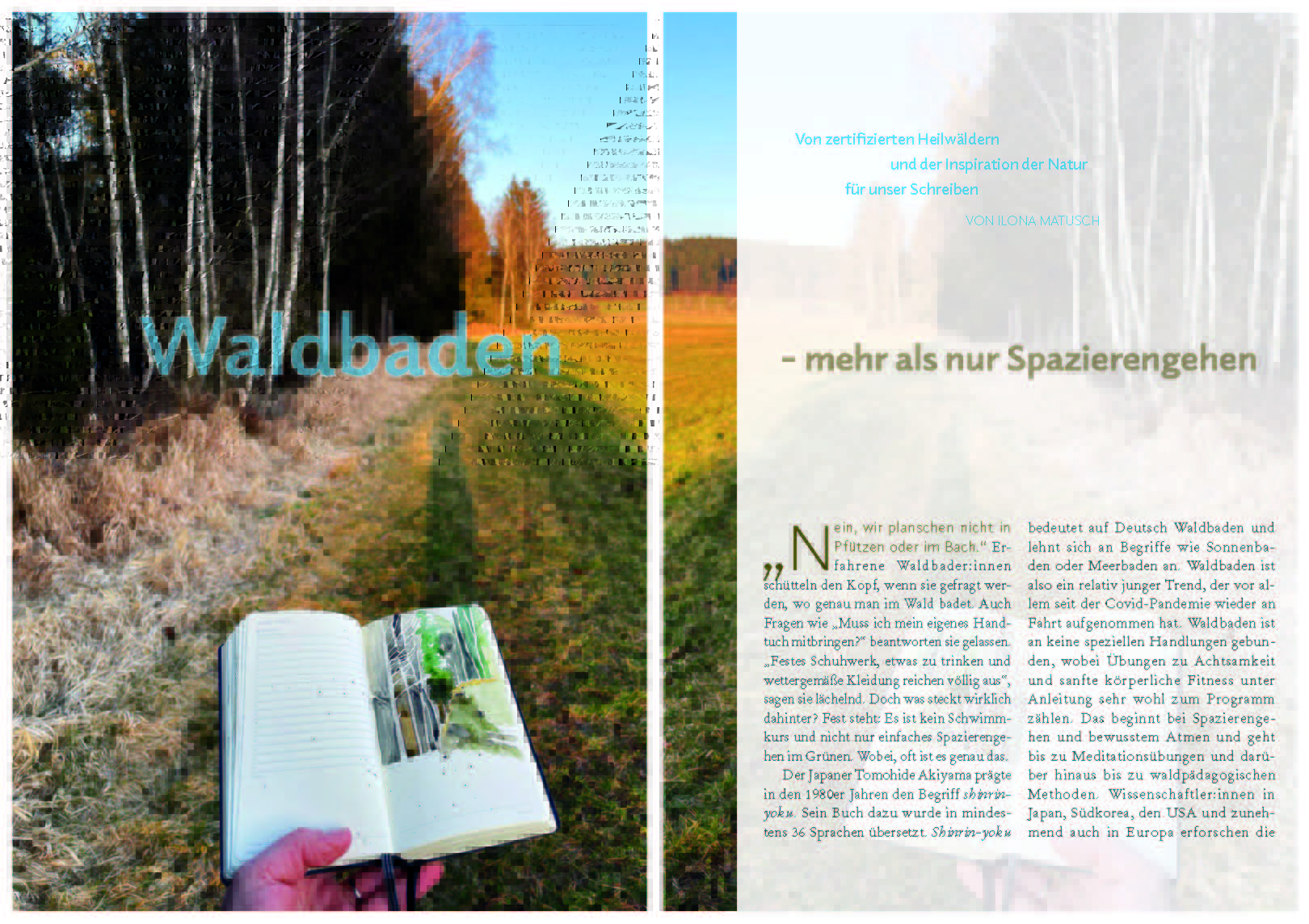 Waldbaden Schreibimpuls PDF Vorschau